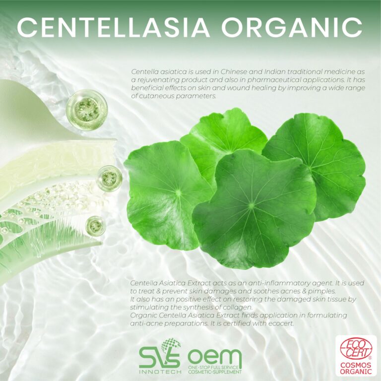 441050935 945331617388103 6633405665028939931 N